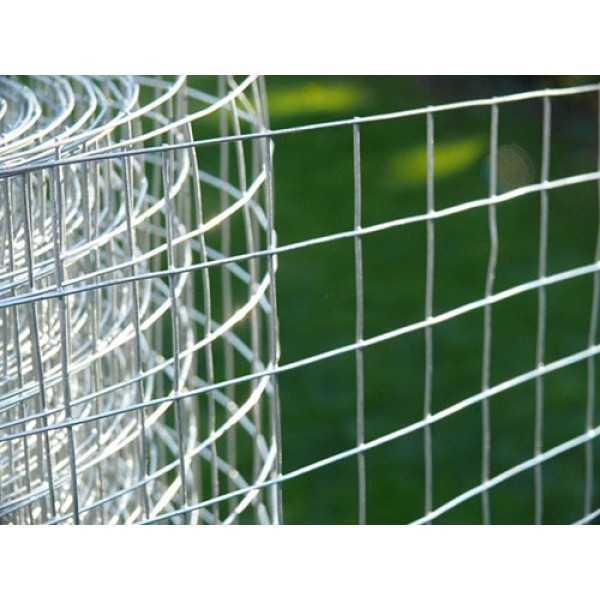 توری جوشی رولی 